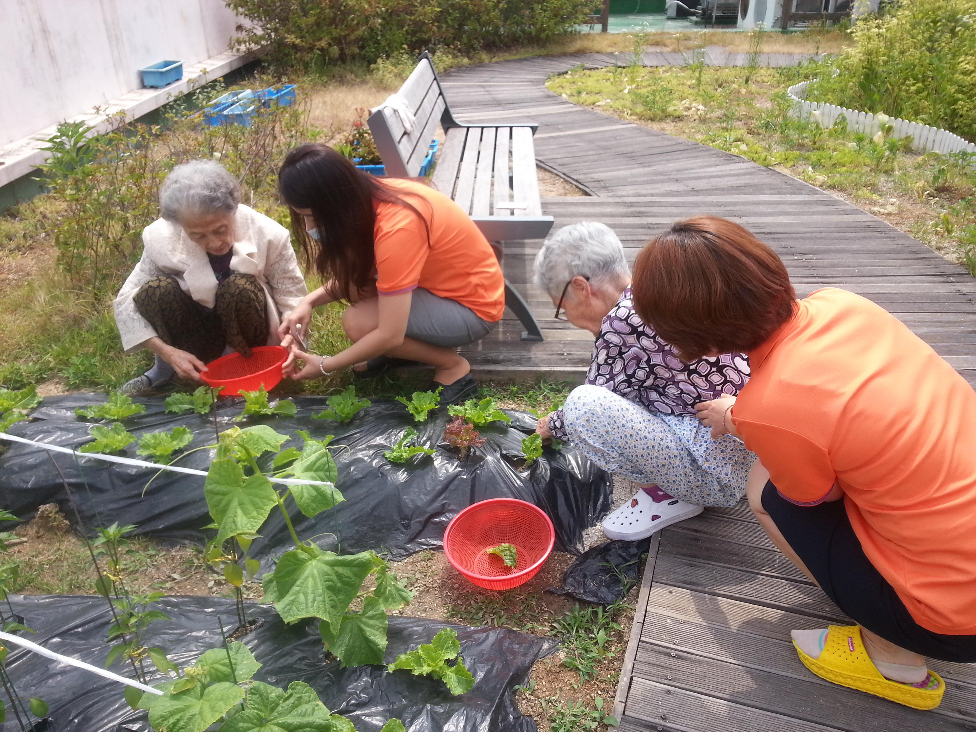 20150608_103013.jpg